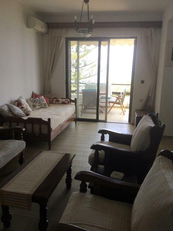 Lefkada Beachfront Apartment Nikiana Esterno foto